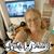 Tammy Strickland's profile image