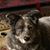 Vicki Brown's profile image