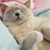 Jenny Unger's profile image