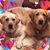 Michelle Ecord Napier's profile image
