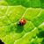 LeAne Bouydston's profile image