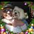 Debbie Norton's profile image