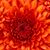 Robin Smith's profile image