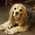 Zenaida Luis's profile image