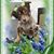 Sue Jacopec's profile image