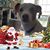 Erin Mitchell Vitale's profile image
