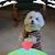 Joyce Stratton's profile image