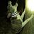 Darren Allgood's profile image