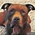 Terri Reece's profile image