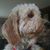 Sue Hager's profile image
