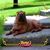 Polly Mcgrady's profile image