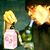 Dane L'Hommedieu's profile image