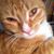 Linda Lumpkin Ellison's profile image