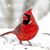 Crista Yeiter Simmons's profile image