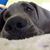 Kristie Satterfield's profile image