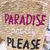 Amanda Priore's profile image