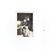Joanne Hilberg Allan Parkyn's profile image