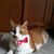 Becca Leigh Corn's profile image