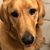 Bruce Oglevie's profile image