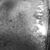Shana Heishman McWilliams's profile image