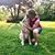 Tina Meinhardt's profile image