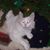 Dee Murphy's profile image