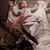 Amber Risser's profile image