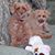 Debby Etling's profile image