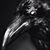 Philip MaCrevis's profile image