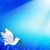 Chalane Marie Downs's profile image