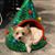 Jennifer Bennett's profile image