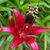 Shannon Joy Caldwell's profile image