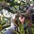 Jennifer Beavers Boes's profile image