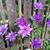 Christy Urdal's profile image