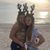 Shelli Halford Billingsley's profile image