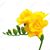 Kathi Burns's profile image
