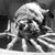 Marci Powell Casteel's profile image
