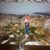 Jose Luis Gallego's profile image