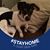 Ellyn Lynn Boyer's profile image