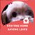 Dianne Hodson Hole's profile image