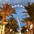 Diane Dangleis's profile image
