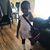 Danica Mcneal's profile image