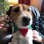 Tracy Jackson Brooks's profile image