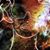 Mooka Hecht's profile image