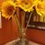 Sharon Skaggs Maclin's profile image