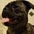 Crystal Hoeschele's profile image
