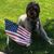 Jennifer Newhouse's profile image
