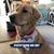 Donna McCarthy Herlihy's profile image