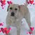 Lori Watson LeVon's profile image