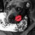 Nancy Youmans Bowen's profile image
